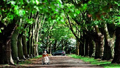 Designing Parks for Inclusivity: Challenges and Solutions