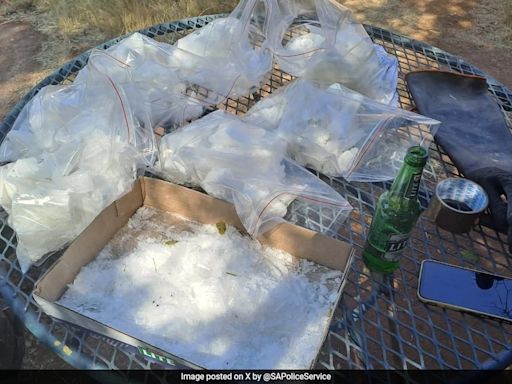 South African Police Uncover Multimillion-Dollar Meth Lab On Farm