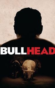 Bullhead (film)