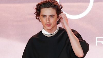 Timothée Chalamet to star in new ping pong movie