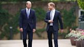 Prince Harry Says Princess Diana 'Would Be Sad' About His Relationship with Prince William Today