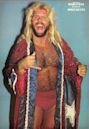 Michael Hayes (wrestler)