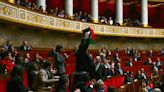 '¡Es un cerdo, defiende un genocidio!': el conflicto de Israel y Palestina tensa la Asamblea Nacional de Francia