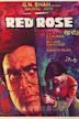 Red Rose (1980 film)