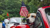 4 things you can do to protect your dog, other pets from frightening fireworks