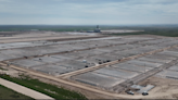 Largest cattle feedlot in Nebraska to begin taking feeders later this month