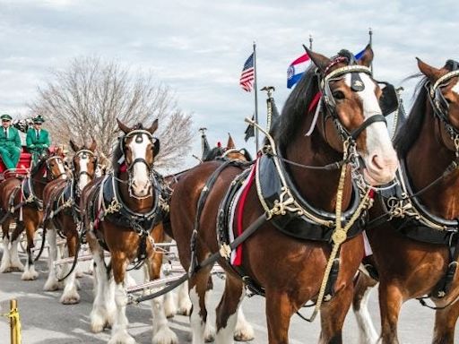 Things to do: Watch Kung Fu Panda at the high school or meet the Clydesdales