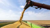 USDA reduz projeções para produção e estoques mundiais de soja | Agro Estadão