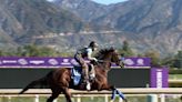 Breeders' Cup World Championships feature some of the world's best horses