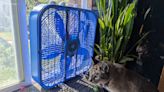 Use Your Fans and Cross Ventilation to Cut Down on AC Use this Summer. Here's How