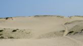 Epic dunes and a quaking bog: Where to hike in Provincetown