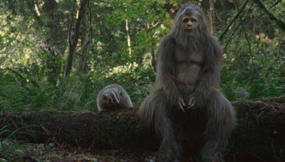 Sasquatch Sunset: Controversial Bigfoot movie is rewardingly novel, touchingly human and agreeably nutty