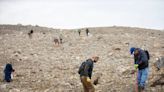 How conservationists are turning an old Kentucky strip mine into a native forest