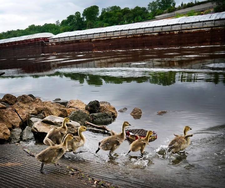 Violence? Injustice? Math? It's all here in a history of 'The Great River,' the Mississippi