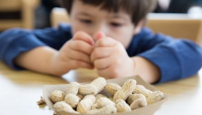 Feeding peanuts to babies could prevent allergies through the teen years, study finds