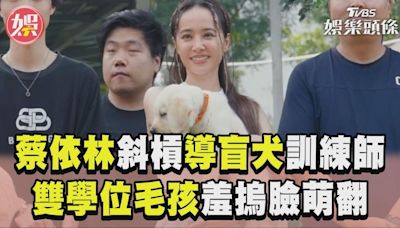 影音／蔡依林被「學霸級」導盲犬萌翻 讚訓練師造福殘疾人士：愛心回饋│TVBS新聞網