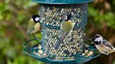 'Squirrel proof' feeder comes with anti-rust coating - 'birds love this'