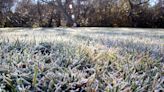 Protect your plants: Nighttime freezes to chill Northeast into Friday