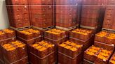 Europa se ríe del sector citrícola y retira sin previo aviso ni explicación la aplicación del tratamiento en frío a las naranjas de terceros países - Agroinformacion