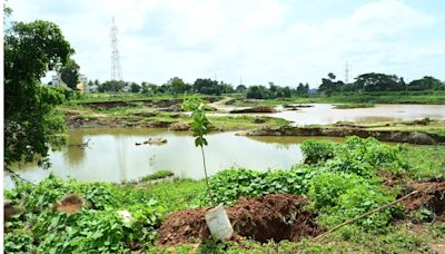 Kennametal undertakes the Harokethanahalli Lake restoration project in partnership with Planet Sutra