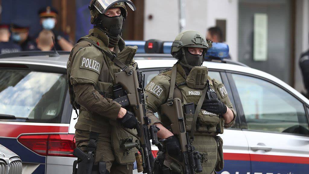 Austria raids alleged Islamist extremists in run-up to anniversary of 9/11 terror attack