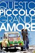 Piccolo grande amore