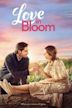 Love in Bloom