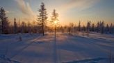 Spruce trees have arrived in the Arctic tundra a century ahead of schedule