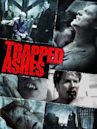 Trapped Ashes