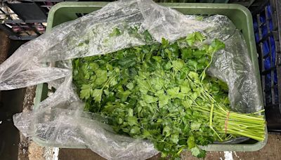 驚人！北市抽驗蔬果結果曝 多種「毒菜」竟19種農藥超標