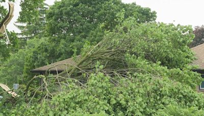 Hamburg residents start to recover following severe spring storms