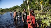 Climate change is threatening Madagascar's famous forests – our study shows how serious it is