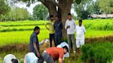 Telangana Collector Rahul Raj Promotes Paddy Farming With Hands-on Planting - News18