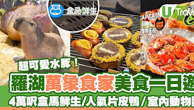 深圳羅湖萬象食家餐廳美食一日遊！人氣片皮鴨／室內動物園／盒馬鮮生 | U Travel 旅遊資訊網站