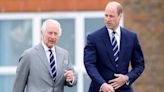 'King Charles and Prince William are right to slim down Royal Family' says expert