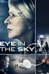 Eye in the Sky