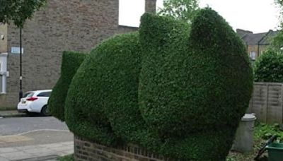 Why a London man named Bushe turns his neighbors' hedges into art