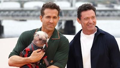 Hugh Jackman e Ryan Reynolds chegam ao Brasil para evento de divulgação de ‘Deadpool & Wolverine’ - Imirante.com