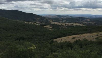 Sancionado un furtivo de la montaña de Palencia con 43.605 euros