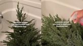 Should you clean your Christmas tree? Woman baffles internet after washing tree in her bathtub