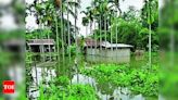 Assam Floods: Death Toll Rises to 79, 7 More Fatalities Reported | Guwahati News - Times of India