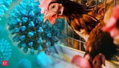 What is the H5N1 virus that is growingly rapidly? Here is everything you need to know