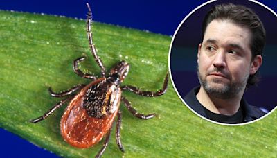 Alexis Ohanian has Lyme disease — everything you need to know about the serious illness
