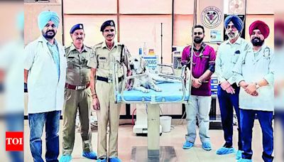 Anex the Hero Dog: Miraculous Recovery at Gadvasu | Ludhiana News - Times of India