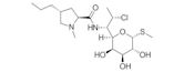 Clindamycin