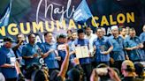 Should all parties have fielded Malay candidates in KKB? Pundits admit strategy effective in pulling fractured majority vote