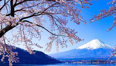 Visa：日本櫻花季帶動赴日旅遊消費成長五成，台灣旅客數居亞洲第二
