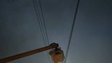 松鼠爬過電桿釀竹市1350戶停電 搶修後晚間復電