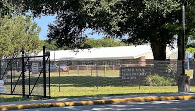 Sugar Mill Elementary student dies after being hit by SUV at school crosswalk: police