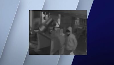 Police search for thieves responsible for string of smash-and-grab burglaries at West Loop businesses